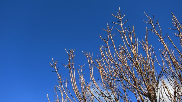 アラサー男子の空飛ぶ勉強部屋-木